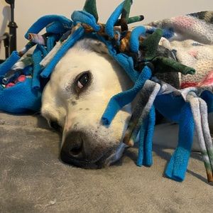 Meet your Posher, Baylee